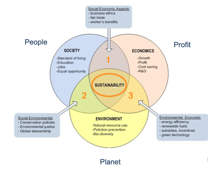 Sustainability Framework by Olena Avramenko