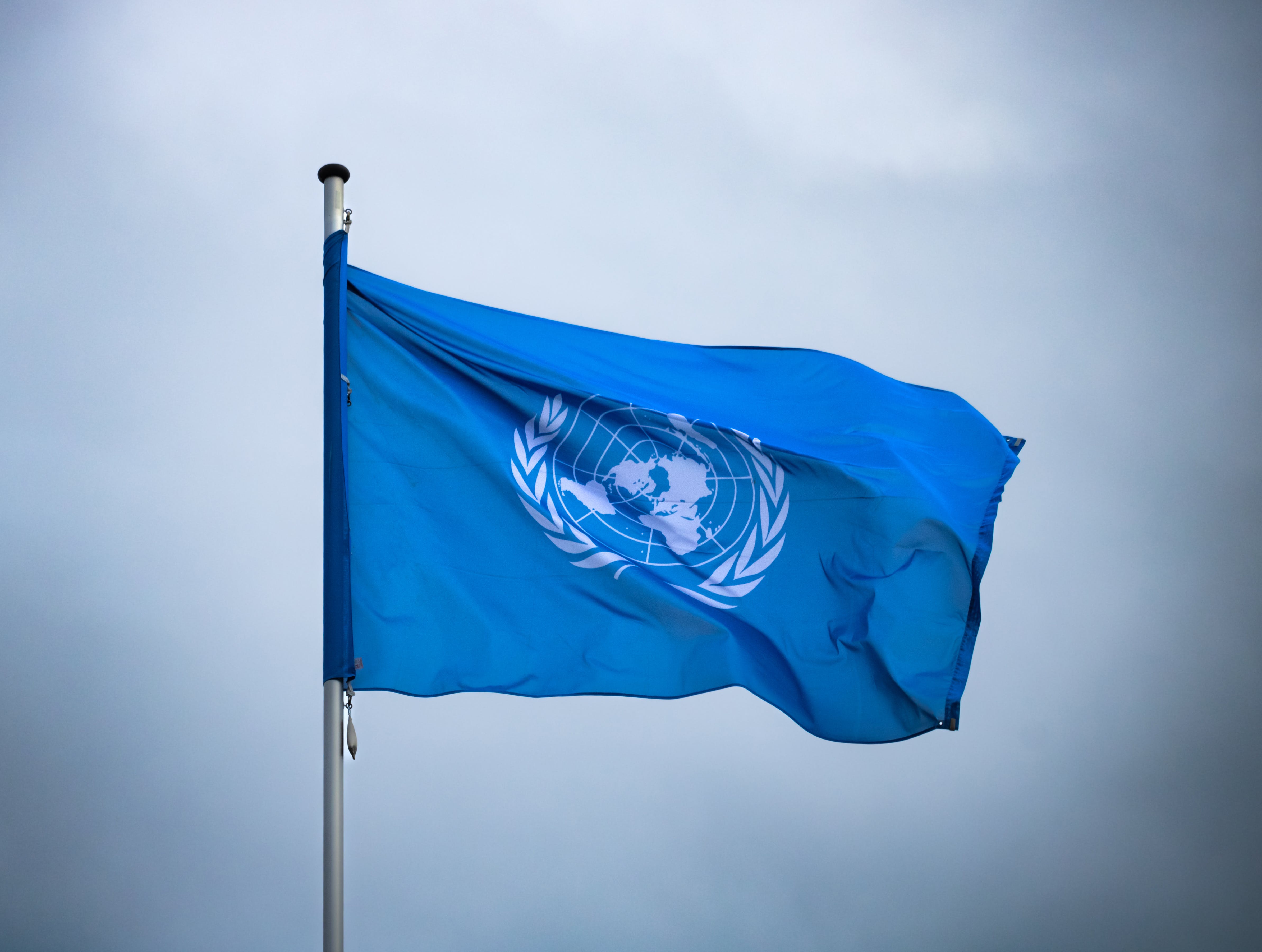 United Nations flag flying in a breeze.